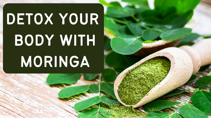 Detox Your Body With Moringa