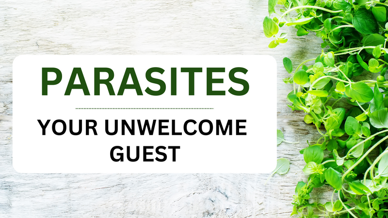 Parasites- Your Unwelcome Guests