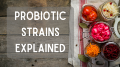 Probiotic Strains Explained