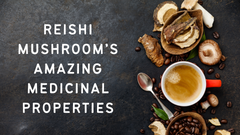 Reishi Mushroom's Amazing Medicinal Properties